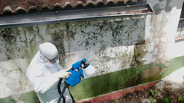 Trusted Mold Remediation service in Bradley Beach, NJ - Cheap Mold Removal